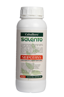 سیلیکات پتاسیم SALENTO SILIPOTASS
