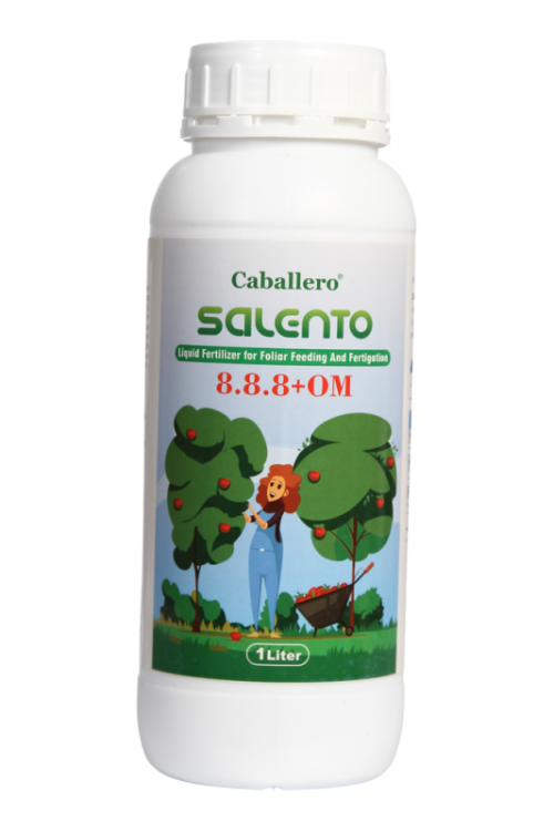 سالنتو SALENTO 8-8-8 +OM