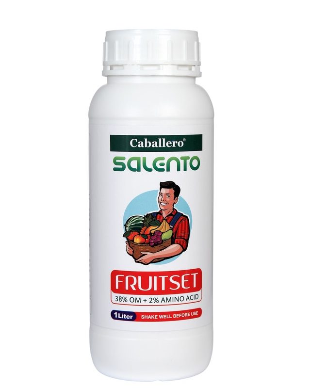 فروت ست FRUITSET SALENTO