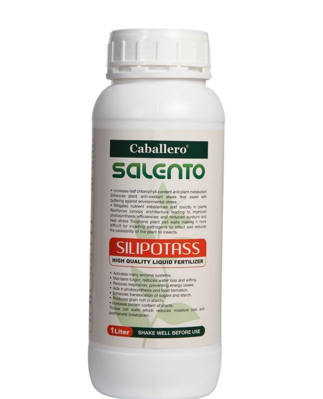 سیلیکات پتاسیم SALENTO SILIPOTASS
