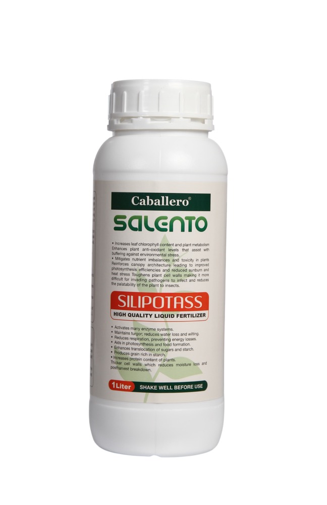 سیلیکات پتاسیم SALENTO SILIPOTASS