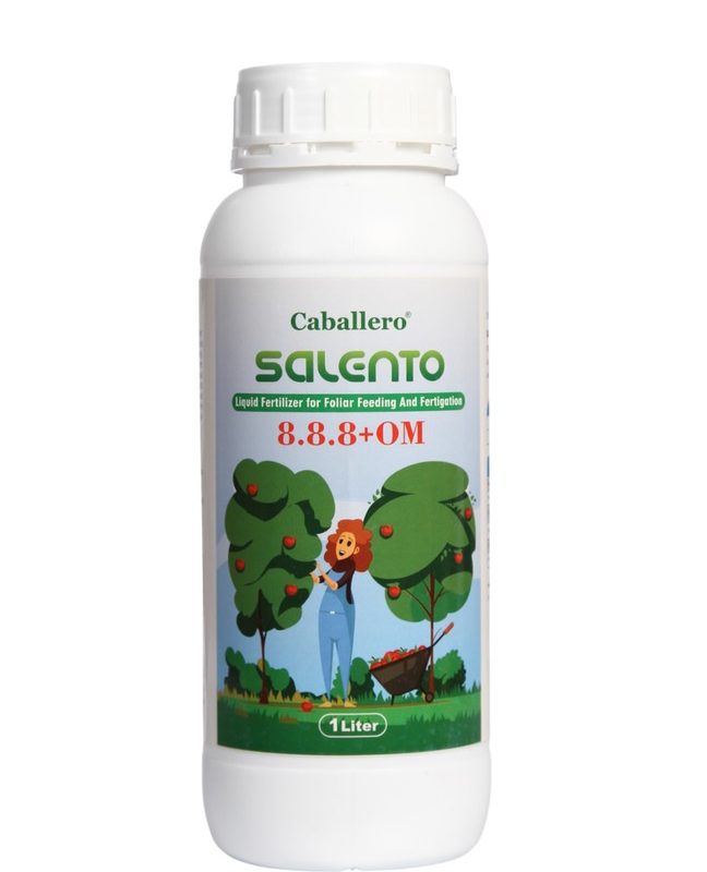 سالنتو SALENTO 8-8-8 +OM